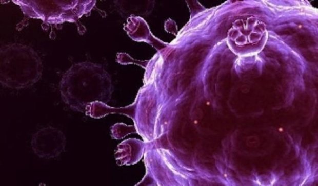  Вчені виявили новий вірус грипу