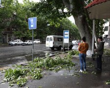 Люта стихія залишила франківчанина без машини, корвалол не допоможе: дика НП потрапила на камеру.