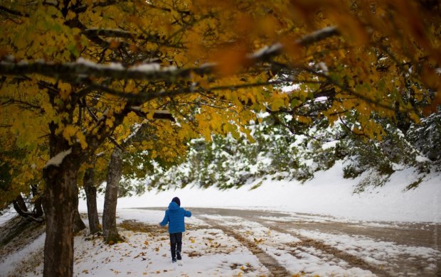 Заморозки и снег: синоптики сказали украинцам забыть о тепле