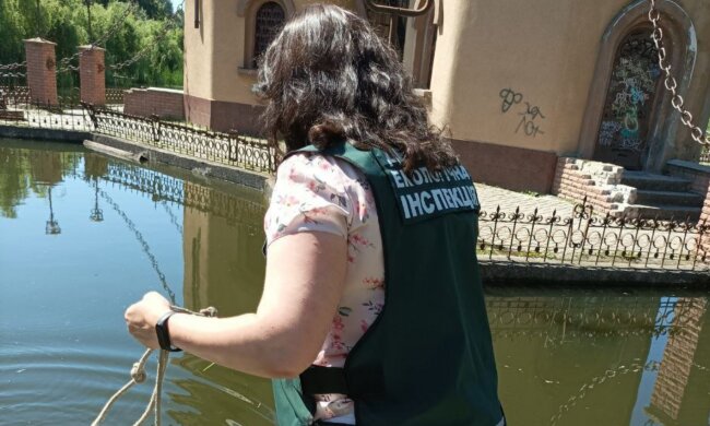 работник Госэкоинспекции