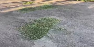 Ямы залатали траврю, скриншот с видео