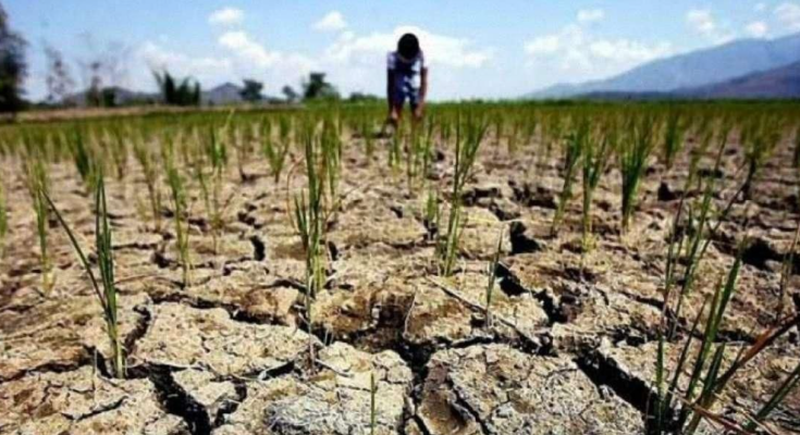 Засуха на Земле. Фото: youtube