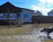 Знеструмленому від паводків Закарпаттю повернули світло