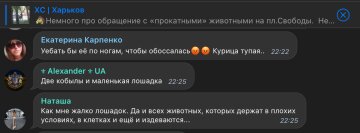 Скриншот комментариев, фото: Telegram