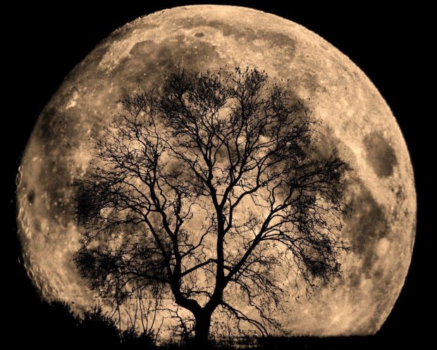 Кармічна любов і відносини: астрологи розповіли про користь листопадового повного місяця