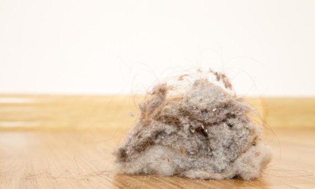 Вчені довели користь вологого прибирання: які небезпеки ховаються в домашнього пилу