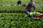 Польша перекрывает кислород заробитчанам: куда бежать украинцам