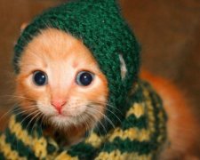 Діставайте светри: на Україну насувається різке похолодання