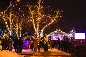 Новогодняя ночь, фото: brovary.net.ua