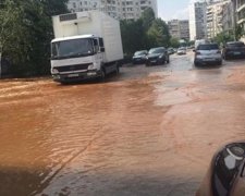 Київські Осокорки тонуть в брудній воді