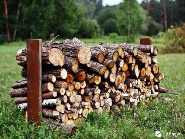 22 жовтня: яке сьогодні свято