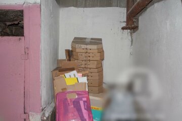 У Дніпрі смердюче сміття перетворили на новенькі вікна - краса