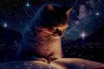 Желание, фото: Pinterest
