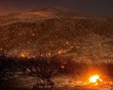 Фото дня: лісова пожежа як витвір мистецтва