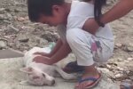 Мальчик прощается с собакой, скриншот видео