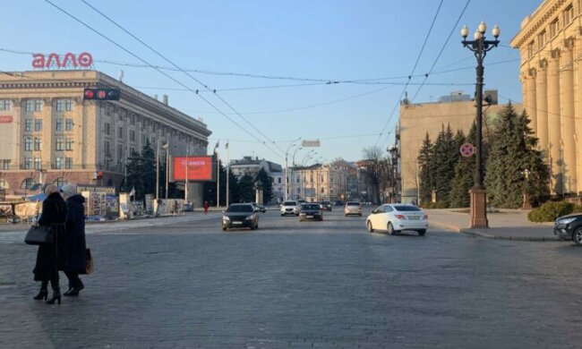 Харків'яни з бензопилами зробили те, що не встиг Кернес