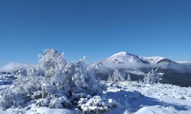 Говерла, фото с фейсбук