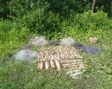 В Тернополе "черные рыбаки" попали в сети собственной жадности - вот вам и щука