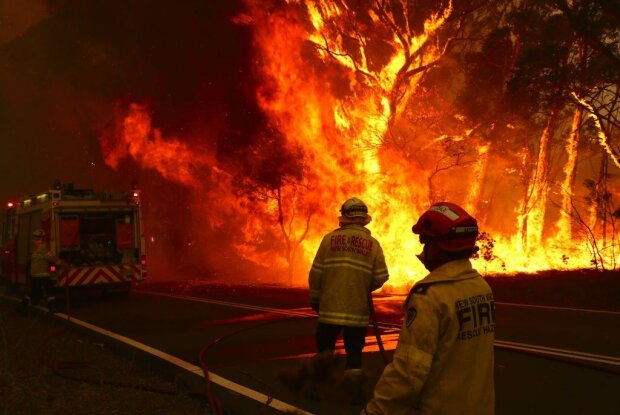 Пожежі з Австралії перекинулися на Південну Америку, гинуть мільйони: відео
