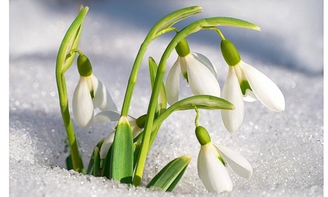 Теплая весна придет после выходных 