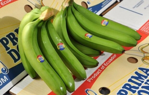 Зелені банани, фото agronomu