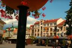 Старенька мати "смокче" гроші з сина, невістка на межі нервового зриву: "Він мені винен"