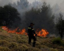 Десятки погибших: масштабные пожары превратили Грецию в ад