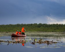 У Києві засікли рогате диво: приймав "ванну", - камера зловила найцікавіше