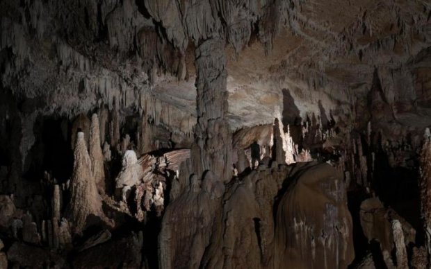 Джунглі приховували печеру творця біткоіна