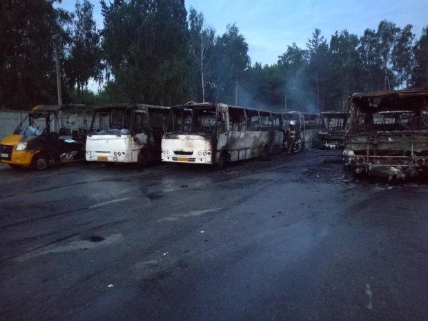 Жуткий пожар на Киевщине превратил в кучу пепла десяток автобусов: фото