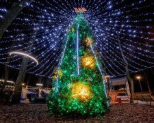 Новый год, елка, фото из соцсетей