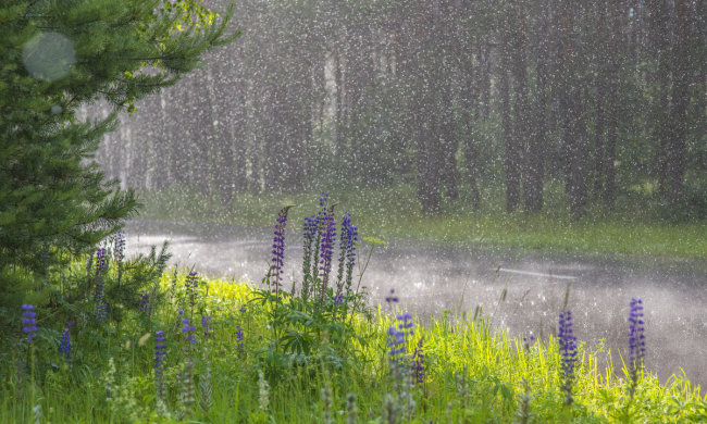 Погода на 31 июля: зальет почти всю Украину