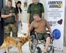 Програма UNBROKEN ANIMALS у Львові: собаки-візитери для ветеранів