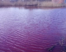 В Нежине порозовело озеро