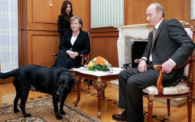 Немцы объяснили, почему Путин - собака