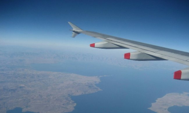 Крила для літаків виготовлятимуть з цукру