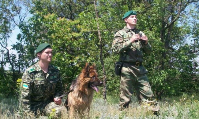 Угроза на украино-венгерской границе: версия пограничников