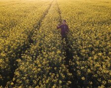 Європа змушує заробітчан соромитися своїх занять, відверта історія українця: "Бруднити душу підлими вчинками"