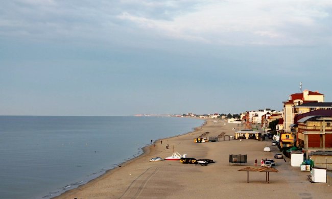 Захват Затоки: рейдерша Пилева избежала избрания меры пресечения, а протестующих забрала полиция