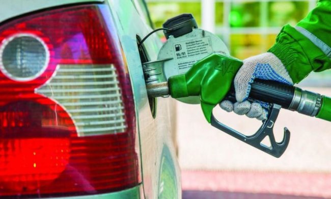 Разработка биотоплива зашла в тупик
