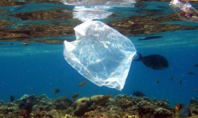 Вчені знайшли альтернативу вічному пластику