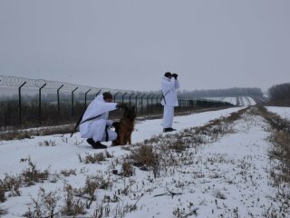 Овчарка-пограничник Лора, фото: facebook.com/DPSUkraine