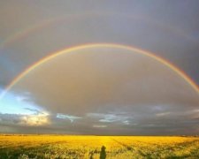 Не передать словами: мужчине с дальтонизмом подарили волшебные очки