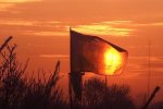 Боевики сдают позиции: ВСУ готовы дать мощный отпор