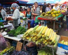 Винничане, налетайте: где и когда пройдут продуктовые ярмарки