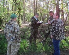 Уряд Гройсмана вирішив знищити ліси України