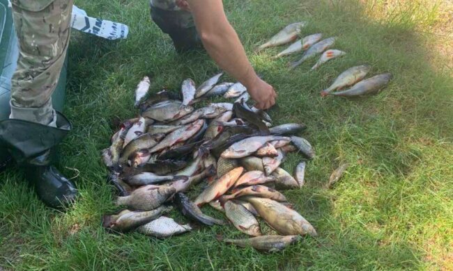 Всеукраїнська акція захисту річок та біоресурсів