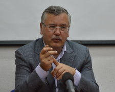 Гриценко: Жоден олігарх не буде нав’язувати мені свою позицію