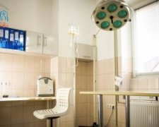 Першу комунальну ветклініку відкрили у Львові