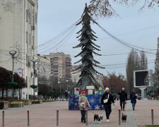 Елка в Броварах, фото из соцсетей